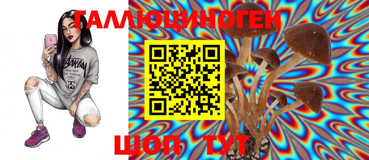 Псилоцибиновые грибы Psilocybine cubensis  Вход с VPN  Североуральск 